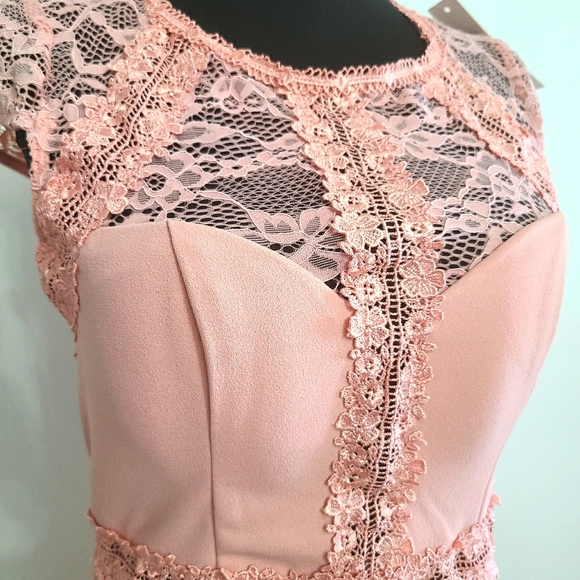 ENTRY Blush Lace Midi - Picture 1 of 9